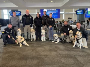 Harper is the Randolph Police comfort dog